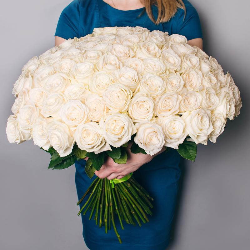 Розы в Новосибирске - 51 и 101 белая роза