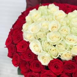 101 розы - купить букет в Новосибирске