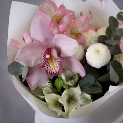 image-06-05-25-03-23-3